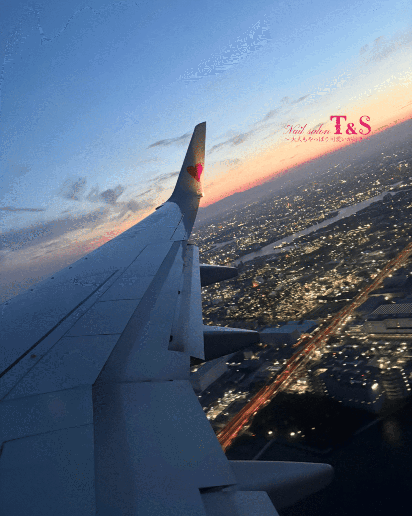 東京ビューティーワールドジャパンへ向かう飛行機からの景色